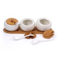 hotx【DT】 1/3PCS Condiment Jar Spice with Lids Tray Pottery Cruet Pot for Bowl Serving