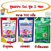 ปุ๋ย ยา ?ครบชุด 3 อย่าง? ขนาด 100 กรัม ปุ๋ยออสโมโค้ท บำรุงต้น ออสโมโค้ท เร่งดอก ปุ๋ยเทอร์โมโค้ท สตาร์เกิลจี อิมิดาโกลด์