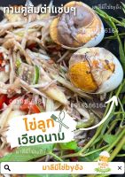 ไข่เวียดนาม,ไข่ตัว15ฟอง+น้ำจิ้มซีฟู้ด #ไข่ฮ้างฮัง #ไข่ดิบ #ไข่เวียดนามแท้100% จัดส่งเร็ว..!