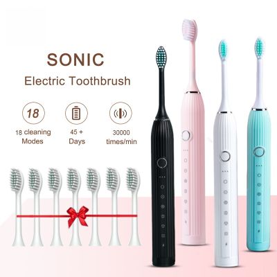 【CW】♚▲♂  Electric Toothbrush Adult Timing Teeth Whitening Fast USB Rechargeable with