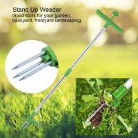 เครื่องดึงวัชพืชแบบพกพายืนขึ้น Weeder Long Handle Garden Lawn Root Killer Remover เครื่องมือ