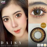 ? มีค่าสายตา ? Wink Daisy Gray Brown Black  ?  บิ๊กอาย สุดปัง คอนแทคเลนส์ รายเดือน มีอย แถมตลับฟรี  เลนส์นิ่ม สวยปังมาก