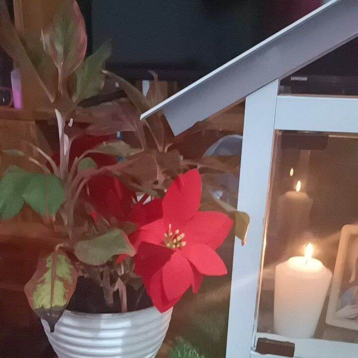 Candle House Aluminum and Glass Lazada PH