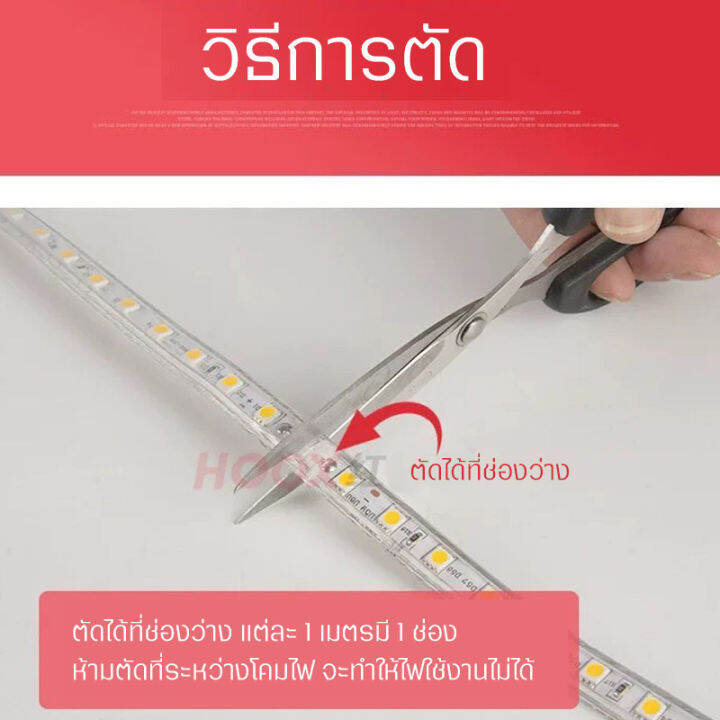 ไฟเส้น-led-พร้อมปลั๊ก-220v-ไฟเชือกยืดหยุ่นกันน้ำ-กันแดด-60-led-เมตร-ความสว่างสูงกลางแจ้งตกแต่งในร่ม-ความสว่างสูงเครื่องประดับตกแต่ง