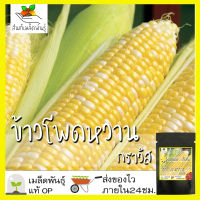 เมล็ดพันธุ์ ข้าวโพด ฮอกไกโด กราวิส 12 เมล็ด Gravis Hokkaido Sweet Corn seed เมล็ดพันธุ์แท้ นำเข้าจากต่างประเทศ หวานมาก