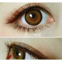 Tiara Brown Pretty Doll บิ๊กอาย สีน้ำตาล ขอบช็อคโก้ คอนแทคเลนส์ Bigeyes Contact Lens ค่าสายตา สายตาสั้น Dali Wink