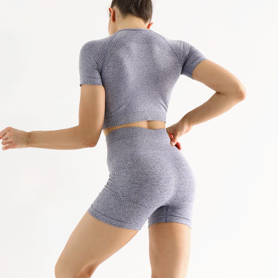 2 PCS Workout Clothes for Women Yoga Set Fitness T Shirt Shorts Combination Sport Elastic High Waist Push Up Seamless Clothing