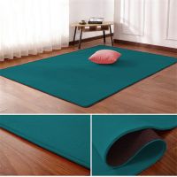 Nordic coral velvet carpet living room floor mat bedroom non-slip blanket living room rug bedroom bedside rectangular floor pad