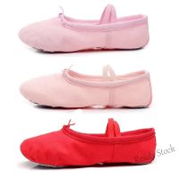 【Ready Stock】 ✗✆ C39 Adult Dance Shoes Soft Sole Summer Ballet Children Practice Dancing Yoga Cat Claw Women