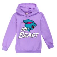 2021 New Mr Beast Lightning Cat Kids Sweatshirts Boys Clothing Girls Long Sleeve Children Hoodies Outerwear Tops