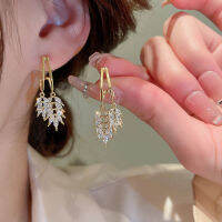 ต่างหูเงิน925เข็มกุหลาบหญิงต่างหูอเนกประสงค์อารมณ์ต่างหูยาว Ultra Flash Zircon Earring