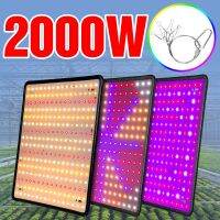 【TX】ฟปลูกต้นไม้ Full Spectrum LED Grow Light 2000W ปลูกพืช Greenhouse Seedling Cultivated Plants Lamp Garden Grow Box