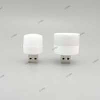 Mini 2 USB DC port Plug Lamp LED Night Light 5V 1W Super Bright Eye Protection Book reading for Computer Mobile Power Charging YB8