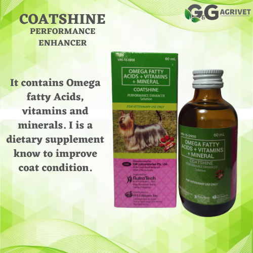 [G&G AGRIVET] COATSHINE / 60ml / OMEGA FATTY ACIDS / VITAMINS / MINERAL