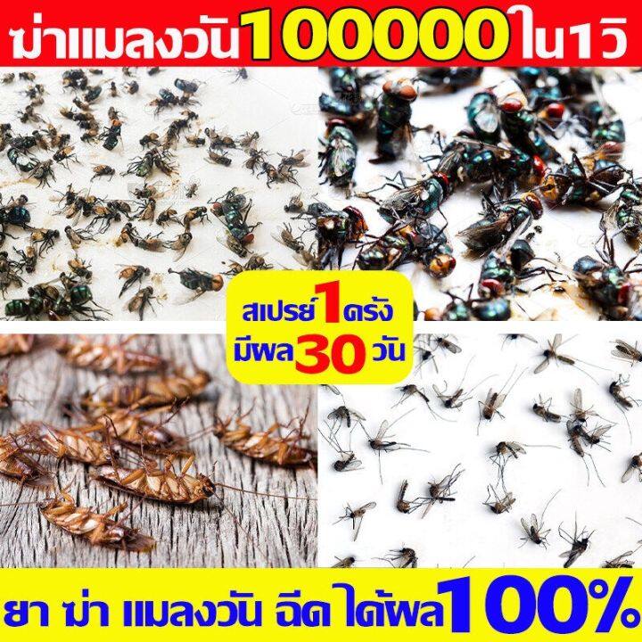 สเปรย์ไล่แมลงวัน-กำจัดแมลงวัน-500ml-ได้ผล100-ภายใน-300เมตรไม่มีแมลงวัน-เหมาะสำหรับคนท้องและทารก