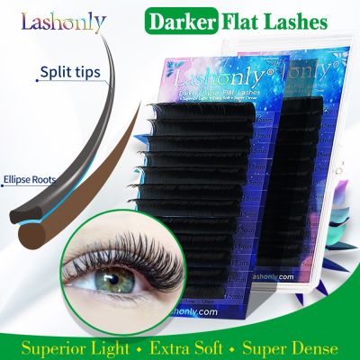 Lashonly Darker Ellipse Flat Lashes Soft Split Tips Flat Eyelash Extension Wholsale Individual Eyelashes Nature Eyelash Supplies