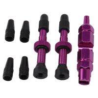 V67 Pcs Bike Tubeless Presta Valve Stem Metal Presta Valve Stem Caps and Valve Core Remover Tool