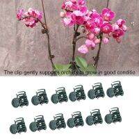 100Pcs Plant Support Clips Garden Clips Plastic Mini Stalks Flower Garden Tools Stem Clips Grow Upright Orchid