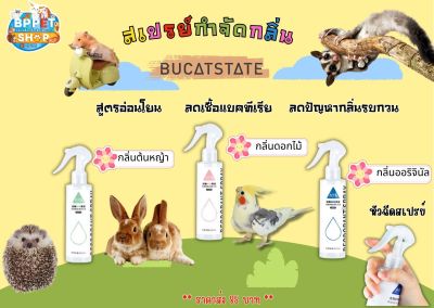 สเปรย์ทำความสะอาดกรงสัตว์เลี้ยง Bucatstate ทำความสะอาด ดับกลิ่นเหม็น สำหรับสัตว์เลี้ยง แฮมสเตอร์ สเปรย์ทำความสะอาดสัตว์