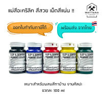 แม่สี สีอะคริลิค แม่สีพลาสติก แม่สีทาบ้าน แม่สีน้ำ ตราช้างพญานาค 100ml (จำนวน 5 ขวด)