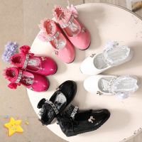 COD DSGRTYRTUTYIY Doll shoes for kids girl Flat Fashion 2-12 years old girl shoes 10 primary school students 9 water drill 8 performance shoes 7 spring and autumn 6 single shoes 4 princess shoes dan