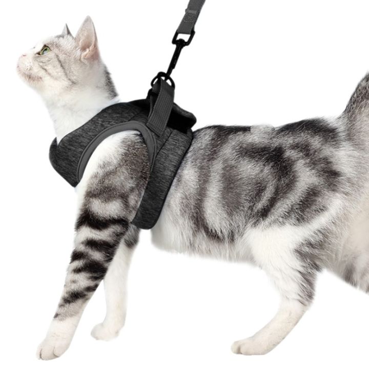 hot-cat-harness-adjustable-anti-escape-small-cat-vest-wiring-harness-light-breathable-soft-pet-traction-belt-kitten-walking-jacket