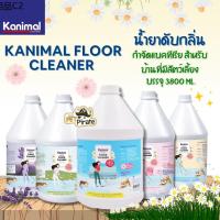 ♕Kanimal Floor Cleaner น้ำยาดับกลิ่น น้ำยาถูพื้น น้ำยาฆ่าเชื้อโรค กำจัดแบคทีเรีย สำหรับบ้านที่มีสัตว์เลี้ยง บรรจุ 3800 ml☬