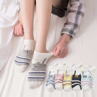 ‘；’ 5 Pairs Women Funny Short Socks Spring Summer Kawaii Cartoon Sleeping Cat Candy Color Cute Female Comfortable Casual Ankle Socks