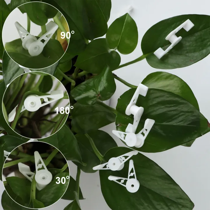 10-pieces-10-pieces-360-degree-plant-stem-trainer-clips-adjustable-bender-plastic-control-plants-low-stress-training