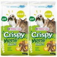 Versale Laga อาหารกระต่าย แบบมูสลี ไฟเบอร์สูง 400กรัม (2 ถุง) Versale Laga Crispy Muesli Rabbit Food 400g (2 bags)