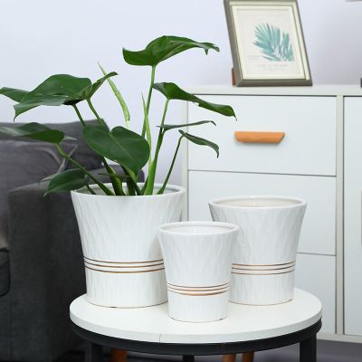 [COD] self-cultivation simple large-diameter monstera white palm green radish large size plant ceramic flowerpot free shipping