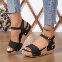 2023 New Shoes for Women Buckle Strap Womens Sandals Casual Women Sandals Summer Wedges Platform Sandals Zapatos Mujer