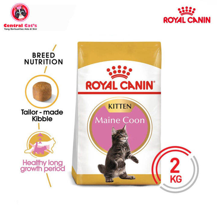 Royal Canin Maine Coon Kitten 2kg Freshpack | Lazada Indonesia