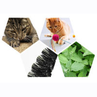 Cat Self Groomer Skin Friendly ป้องกันการลื่นสบาย Arch Massager Cat Face Scratcher สำหรับในร่ม