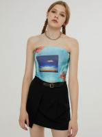 Cider  Landscape Print Tube Top