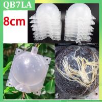 5pcs 8cm Fruit Plant Tree Rooting Ball Root Box Plastic Case Transparent Grafting Rooter Growing High-pressure Breeding QB7LA