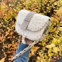 [COD] 2022 autumn and winter new lamb furry bag womens texture shoulder Messenger plush saddle