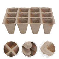 Paper Pots Vegetable Tray Markers Tool Trays Nursery Cup Set Appetizer Pot Germination Trays