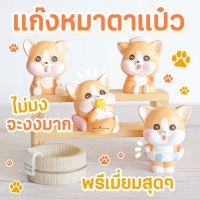 MS5703 ตุ๊กตาน้องหมาชิบะในอ่างน้ำ 5 แบบ โมเดลหมาชิบะ (พร้อมส่งจากไทย)