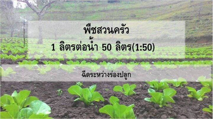 ปุ๋ยน้ำ-อามิ-อามิ-กากผงชูรส-ขนาด-600-ml