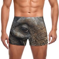 Elephant Swimming Trunks Animal Eyes Quick Dry Trending Swim Boxers Plus Size Beach Man Swimwear Swimwear