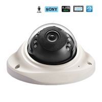 Hamrolte IP Camera H.265 SONY IMX307 Senor 1080P Vandal-proof Dome Camera Audio Record Motion Detection ONVIF Video Camera