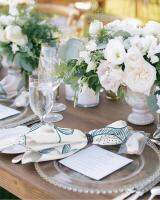 【CW】 Napkins Set Table
