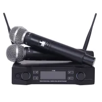 professionnel Outdoor Wireless Microphone 2 Channel Wireless Microphone karaoke microphone