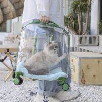 pull rod box two large capacity portable web celebrity bubble cat dog air permeability transparent