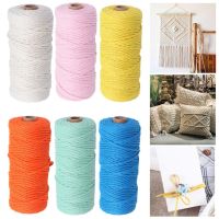 【YD】 100M/Roll Woven Rope Anti-pilling Soft Anti-fade 2mm Macrame Braided Cotton Cord Twine Colored Thread Supplies