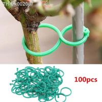 ✐◑ S/L 2 Size Garden Vine Strapping Clips Plant Bundled Buckle Ring Holder Tomato Garden Plant Stand Tool Garden Decor Accessories