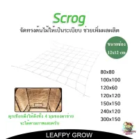 Scrog net ตาข่าย ปลูกต้นไม้ มีหลากหลายขนาด 80×80 , 100×100 , 120x60 , 120×120 , 150×150 , 240x120 , 300x150