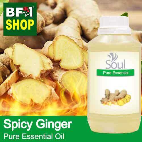 Pure Essential Oil (EO) Ginger Spicy Ginger Essential Oil 500ml