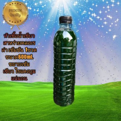 หัวเขื้อน้ำเขียว สาหร่ายคลอเรล่า เข้มข้น 1ขวด ขนาด600ml